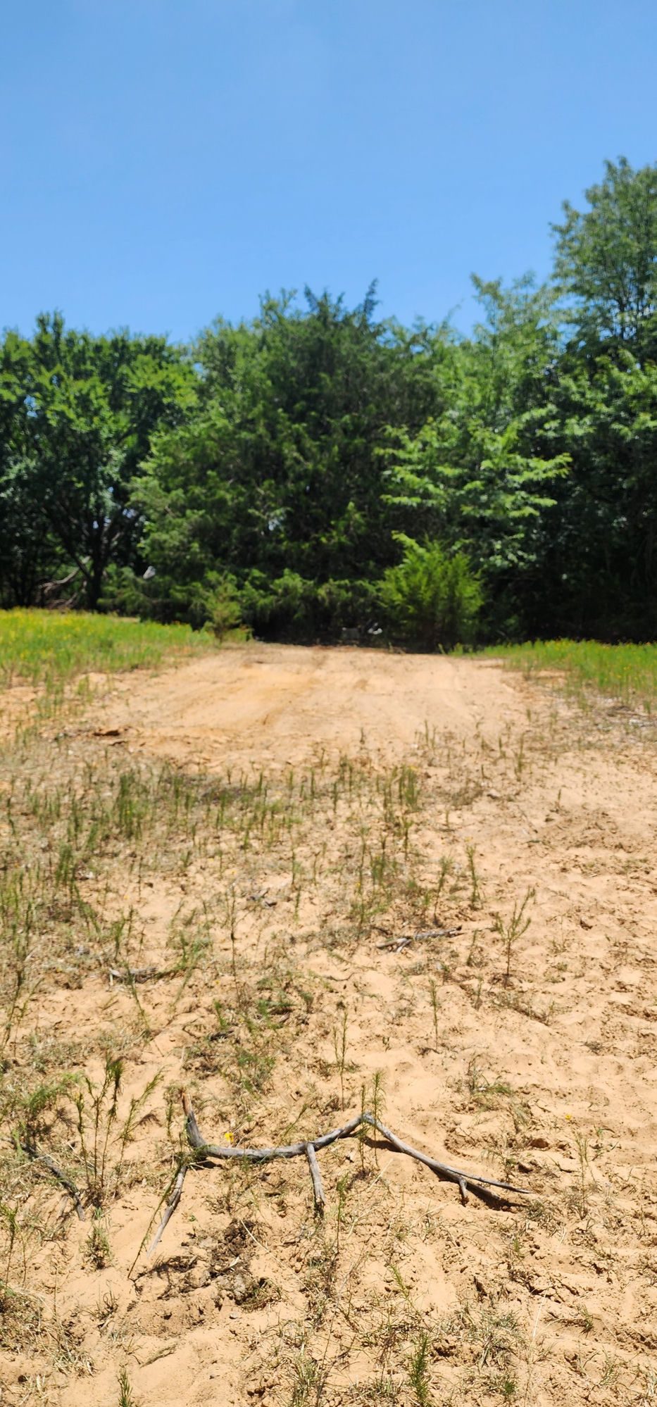 The same spot cleared, clean, and hauled away by Cowboy Site Services